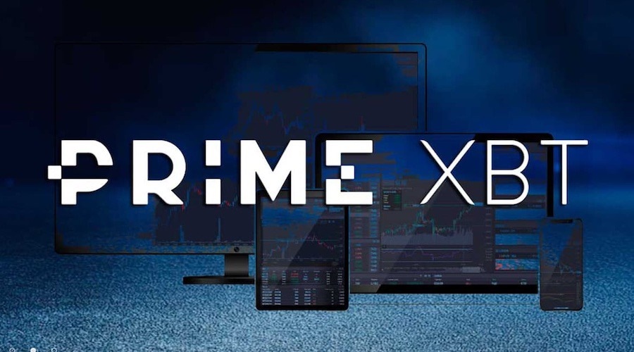 Understanding the PrimeXBT Team Innovators in Trading Technology Understanding the PrimeXBT Team Innovators in Trading Technology